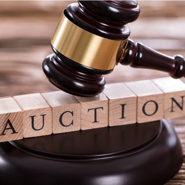 Charity Auction Fundraiser