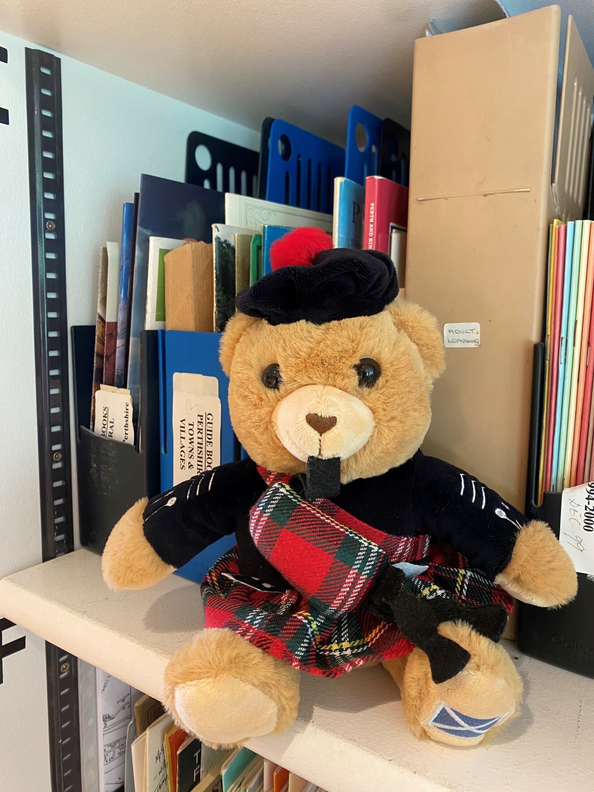 Tourist bear