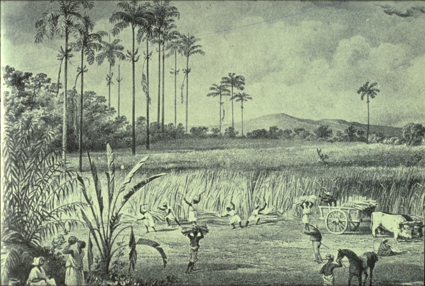 Picture1