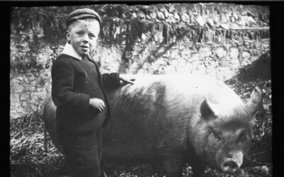 What we have done this week…