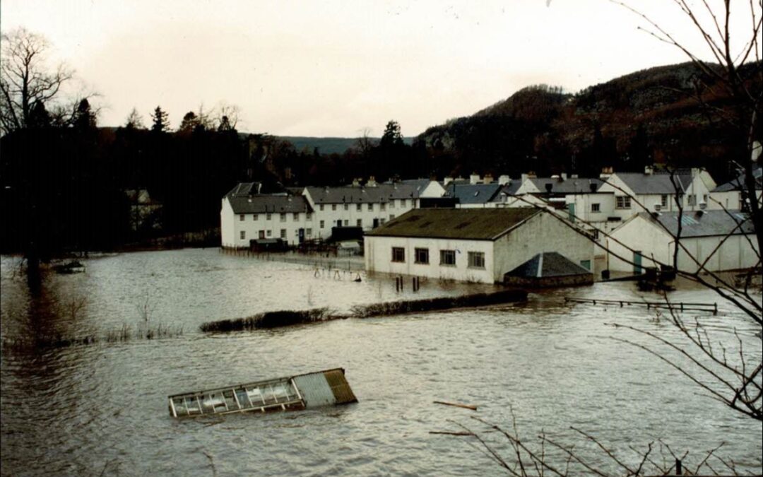 What we have done this week…