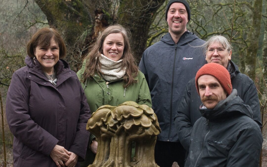 What we have done this week…