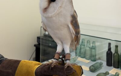 What we’ve done this week…