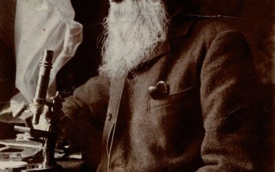 What we’ve done this week…