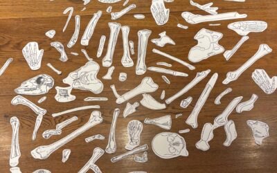 What we’ve done this week…